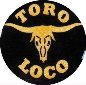 torologo.jpg